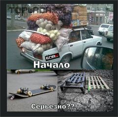 Эволюция глупости