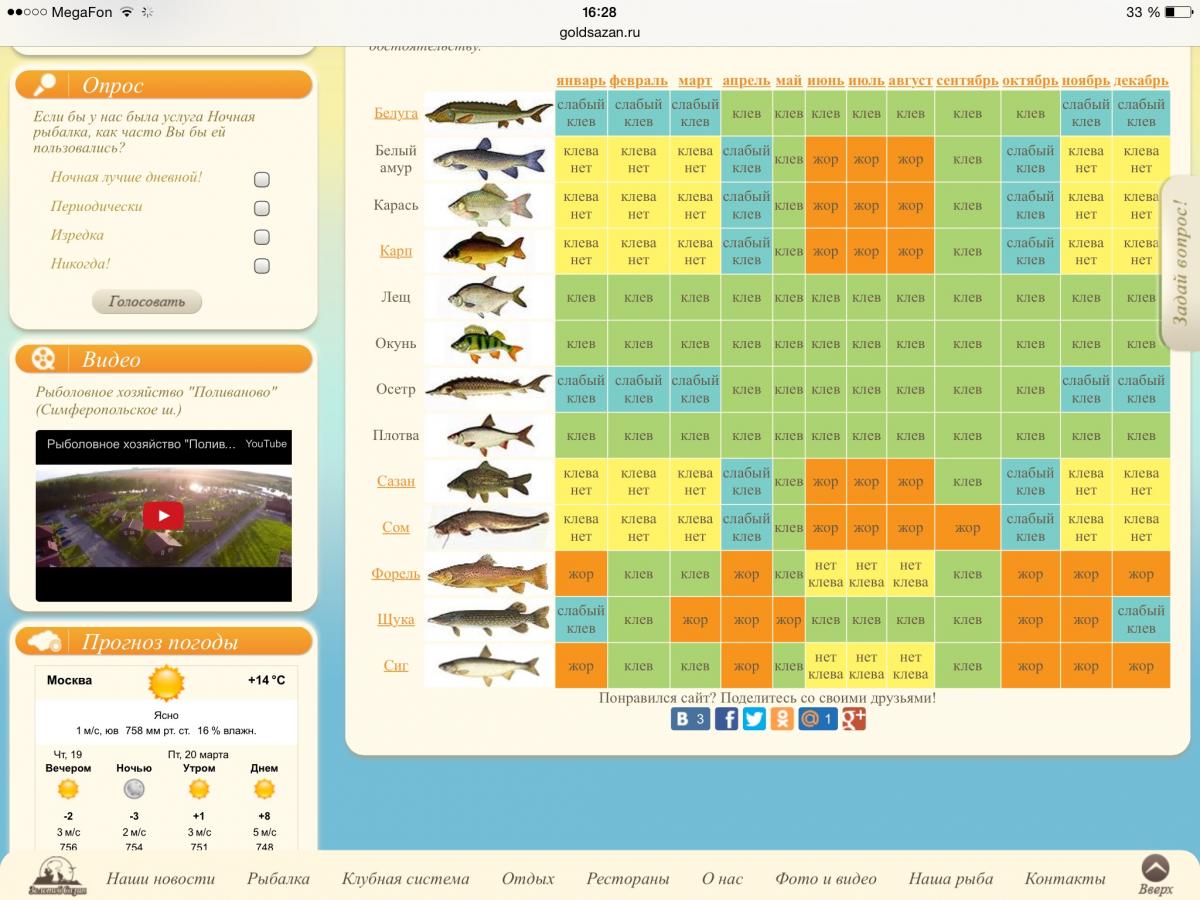 Календарь клева. Таблица рыболова. Таблица клева рыбы. Прогноз клева.